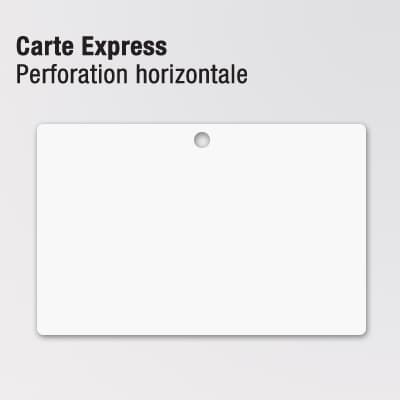 Cartes en plastique ou cartes en PVC 5 COPYTOP