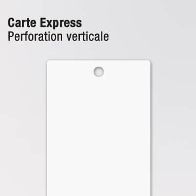 Cartes en plastique ou cartes en PVC 6 COPYTOP