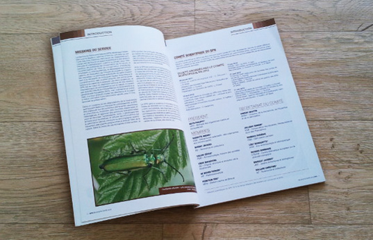 Imprimez votre rapport et bilan (entreprise) 4 COPYTOP