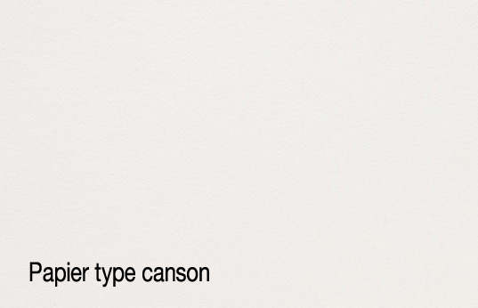 Carte de voeux personnalisée - Les 100 modèles COPYTOP 4 COPYTOP